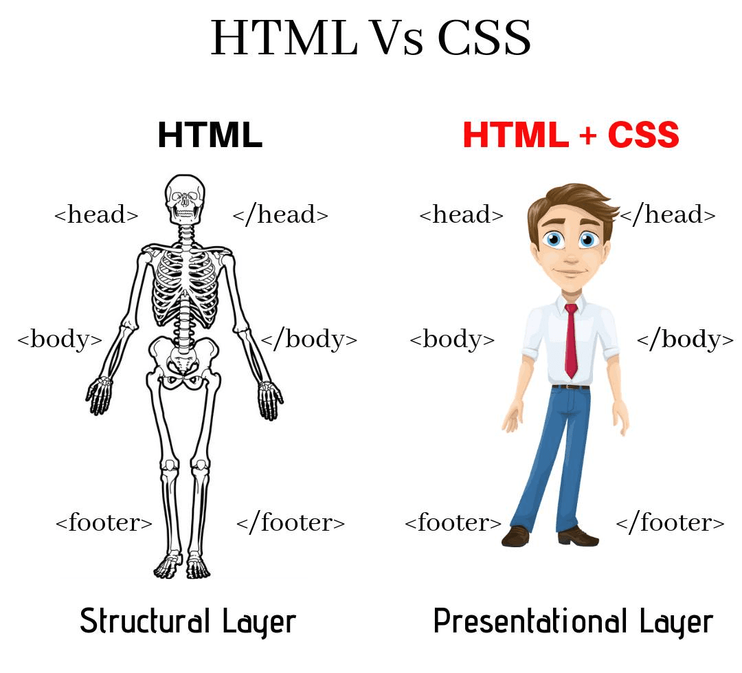 HTML & CSS Fundamentals: A Comprehensive Guide